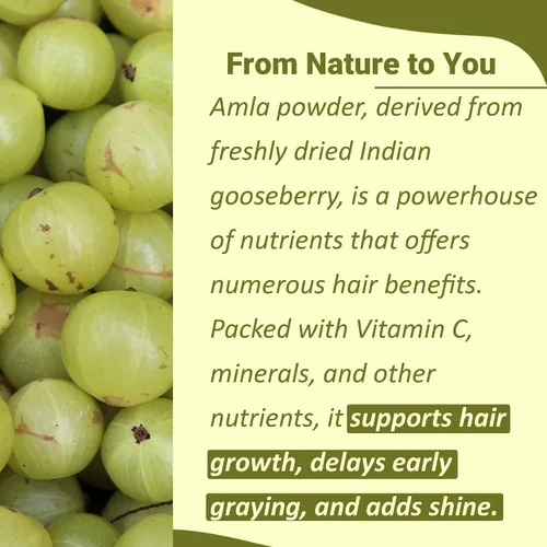 Vista 2 de Polvo orgánico USDA Amla (fruta en polvo de amla) por mi Nature Amalaki 227g (8 oz) Alto en vitamina C, antioxidantes Crecimiento del cabello