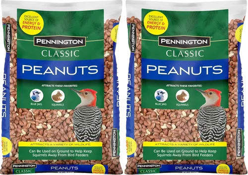 Vista 16 de Pennington - Songbird Nut & Fruit - Mezcla de semillas para pájaros silvestres, 10 libras