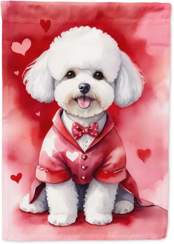 Vista 208 de Caroline's Treasures DAC5252GF Affenpinscher - Bandera de jardín con texto en inglés "My Valentine", bandera decorativa para patio exterior, patio