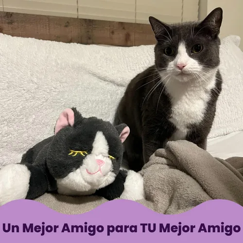 Vista 7 de Snuggle Kitty - Juguete para gatos con pulso y calor de sensación real, ayuda calmante para dormir para la ansiedad de los gatos, nuevos artículos