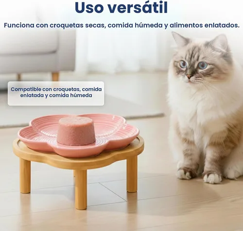 Vista 5 de PawsPik Plato de cerámica para gatos con soporte de bambú elevado, color Rosa