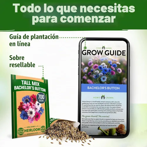 Vista 8 de HOME GROWN Bachelor Button Tall Mix 700+ Semillas de flores Centaurea