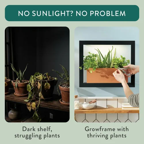 Vista 6 de Modern Sprout Smart Growframe - Soporte para plantas montado en la pared con luz LED de cultivo - Control inteligente por aplicación - Marco