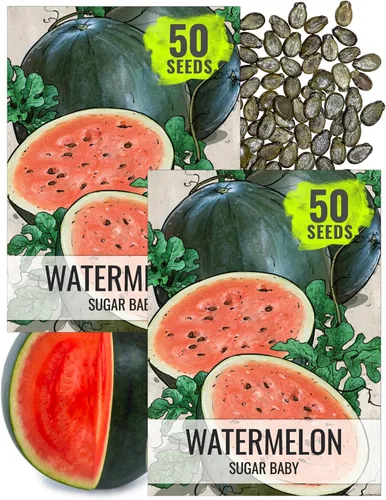 Vista 11 de Seed Needs Semilla de sandía dulce carmesí para plantar reliquia sin OMG 1 paquete