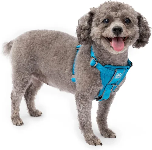 Vista 11 de Kurgo Tru-Fit - Arnés inteligente para caminar para perros, ajuste cómodo, arnés ajustable, reflectante para mascotas, liberación rápida