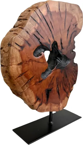 Vista 3 de Escultura irregular de madera de raíz tallada a mano, escultura abstracta de pie de mesa de madera para decoración del hogar, borde natural, estatua