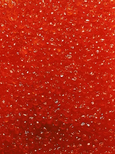 Vista 3 de Caviar rojo salmón, Phillips & Son Premium Chum Huevas 2.2 lb 35.27 oz