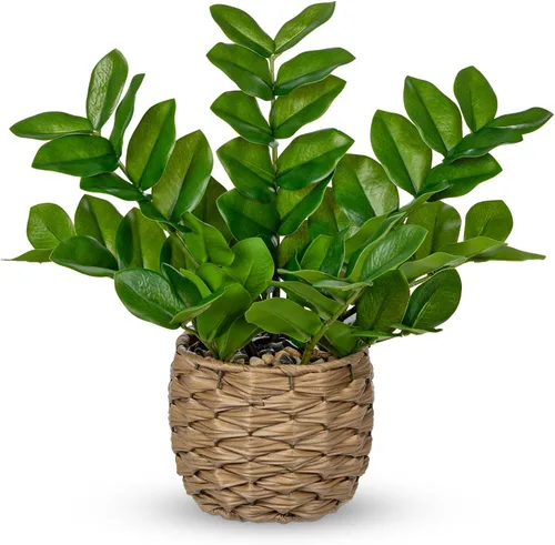 Vista 10 de Briful Plantas Artificiales de Interior, Plantas ZZ Artificiales en Maceta Negra Plantas de Seda Artificiales para Casa Oficina Mesa de Comedor