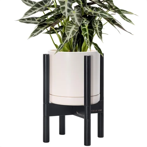 Vista 84 de D'vine Dev Maceta de cerámica con soporte de ébano – Maceta redonda moderna de 8 pulgadas con soporte para maceta de madera, color negro, 55-B-M-2