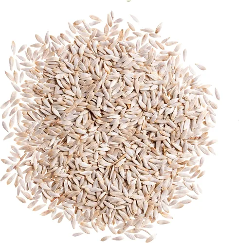 Vista 6 de Seed Needs Semillas de lechuga romana para plantar reliquia y sin OMG, 1 paquete