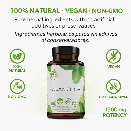Vista 4 de Kalanchoe Pinnata Forte (Leaf of Life) 90 cápsulas (1500 mg por porción) Bryophyllum Pinnatum - 100% natural, vegano, sin OMG, suplemento dietético
