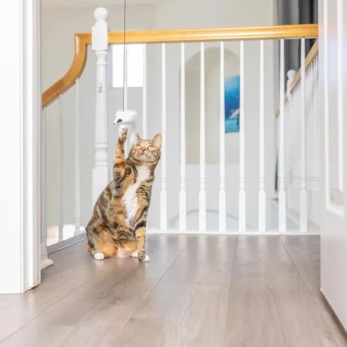 Vista 5 de SPOT A-Door-Able - Juguete interactivo para gatos con sonajero colgante y hierba gatera, entretiene a los gatos durante horas, disfruta