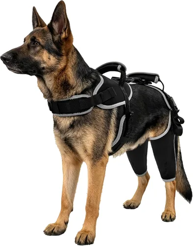 Vista 10 de Rodillera de ACL para perro para pierna desgarrada del ACL, soporte de ACL para piernas traseras de perros, soporte de pierna trasera de perro