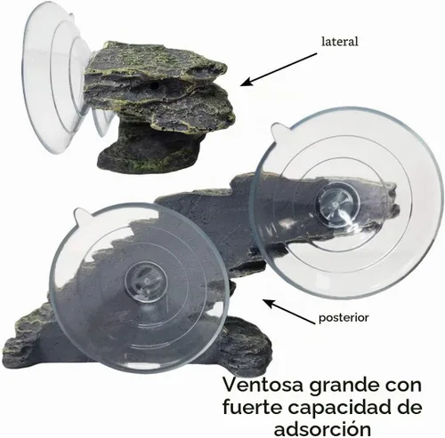 Vista 5 de kathson Plataforma para tomar el sol de tortuga, rampa de escalada de tortugas para bebé, esquisto, reptiles, muelle, terraza, piedra, pequeño