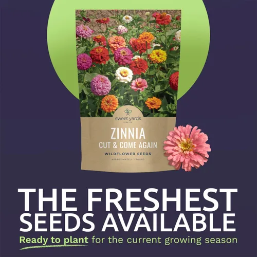 Vista 3 de Zinnia Cut & Come Again Mix - Bolsa a granel de 1 libra - 60,000 semillas de flores para plantar - Zinnia elegans