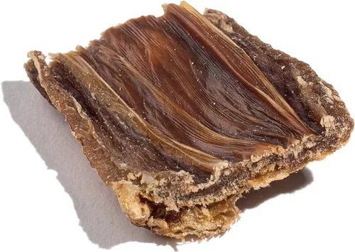 Vista 4 de Jack&Pup Beef Gullet Bites (1 libra) Gullet Jerky para perros pequeños y medianos, golosinas de esófago de res de un solo ingrediente para cachorros