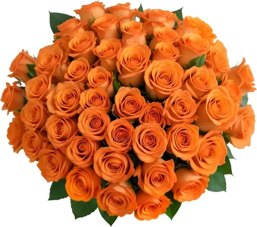 Vista 12 de 18 rosas de arco iris de colores surtidos con jarrón Ramos de Arabella Flores frescas reales para entrega, regalo para cumpleaños, mujeres