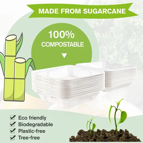 Vista 2 de ECOLipak Paquete de 50 recipientes de comida para llevar, 100% compostables, desechables, 8 x 8 pulgadas, cajas resistentes para llevar