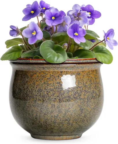 Vista 17 de Macetas de riego automático de 6 pulgadas para plantas de interior, macetas de cerámica violeta africana con maceta interior absorbente, maceta