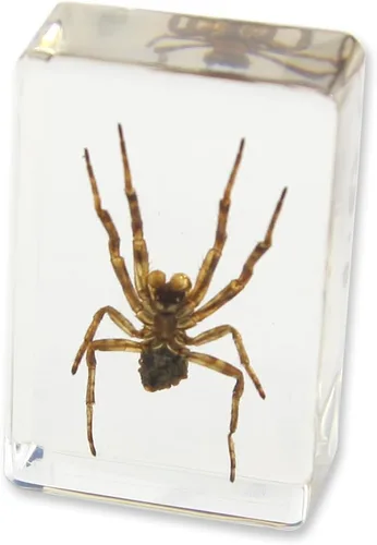 Vista 3 de REALBUG Pisapapeles Spider (1 1/8 x 1 3/4 x 3/4)