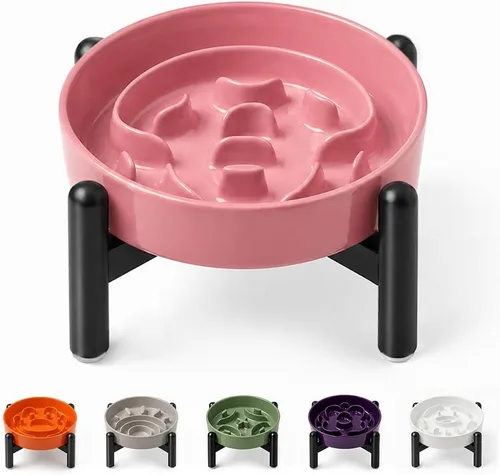 Vista 20 de Cuenco elevado para perros de alimentación lenta, 0.8 tazas de cerámica elevado con soporte inoxidable, cuenco elevado para perros de 6.3 pulgadas