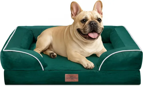 Vista 38 de Comfort Expression - Cama ortopédica para perros medianos, 28 x 19 pulgadas, cama impermeable y de apoyo de espuma con cojines removibles, sofá