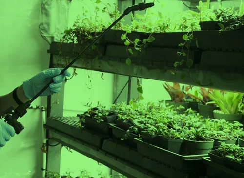 Vista 2 de SmokePhonics Green Spectrum LED Luz hidropónica para plantas de ciclo nocturno