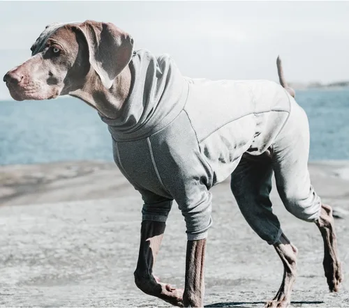 Vista 2 de Hurtta Calentador Corporal para Perro, Traje de Recuperación, Gris Carbón, 18M