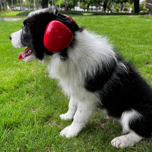 Vista 3 de derYEP Orejeras para perros para protección auditiva 29dB NRR orejeras de protección contra el ruido (grande, rojo)