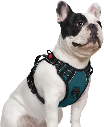 Vista 31 de rabbitgoo Arnés para perro de tamaño pequeño, arnés para mascotas sin tirones con mango acolchado suave, chaleco reflectante ajustable con 3