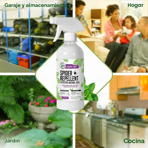 Vista 5 de Mighty Mint Aceite de menta repelente de arañas de 8 onzas, espray natural para arañas, insectos y más (paquete de 2)