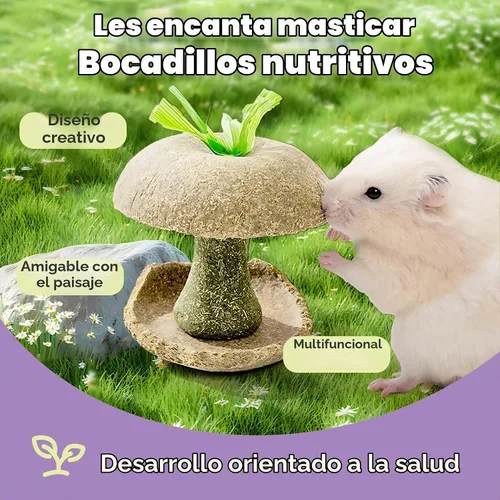 Vista 6 de mini&moe Juguetes masticables de hámster para dientes, conejillo de indias, juguetes masticables para dientes, golosinas masticables para alimentos