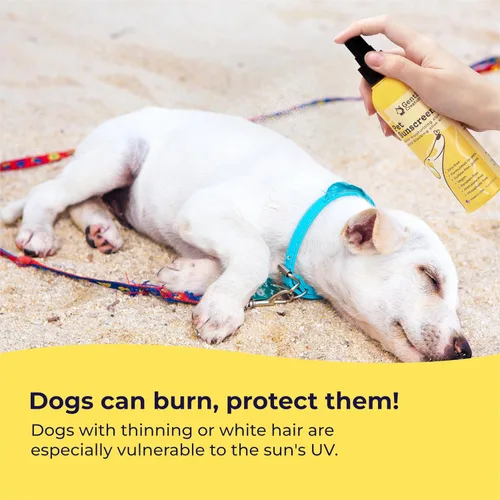 Vista 3 de Gentle Creatures Protector solar para perros SPF 30, sin óxido de zinc