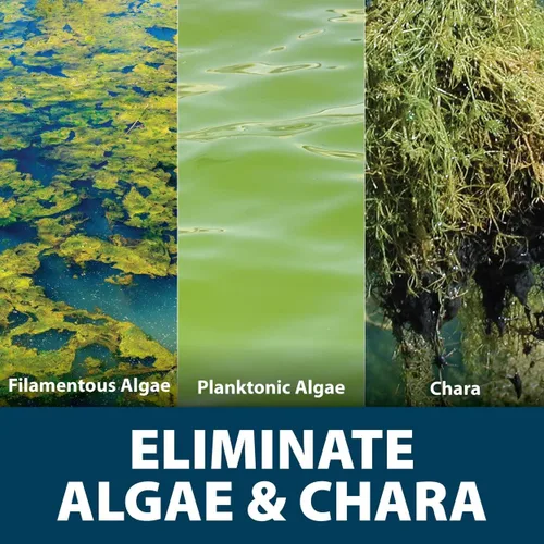 Vista 3 de Airmax Algae Defense Alguicida Registrado por la EPA para grandes estanques y lagos 1 galón