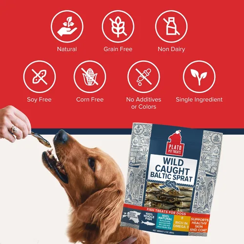 Vista 6 de Plato Pet Treats Golosinas de pescado para perros, espadín báltico