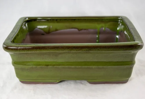 Vista 2 de Maceta rectangular verde musgo bonsái, cactus, suculenta 10 x 8 x 3.25 bandeja de malla