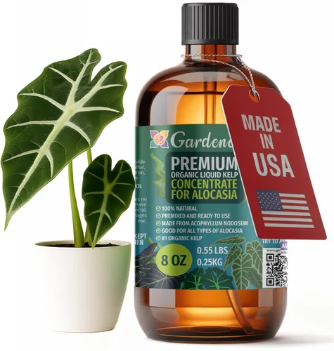 Vista 67 de GARDENERA Superalimento orgánico prémium de algas marinas y algas marinas para plantas AROID - 32 oz - Concentrado de fertilizante líquido de algas
