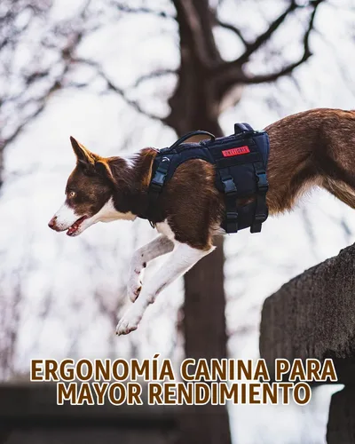 Vista 8 de OneTigris Arnés Táctico para Perros Grandes, Arnés Chaleco para Perros de Servicio Sin Tirones con 5 Hebillas de Metal con Paneles de Gancho y Negro