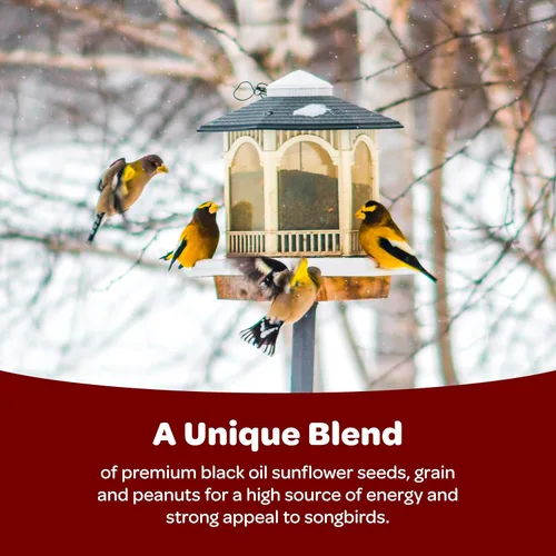 Vista 3 de Kaytee Wild Bird Songbird Blend Semillas para Pájaros, 5 Libras