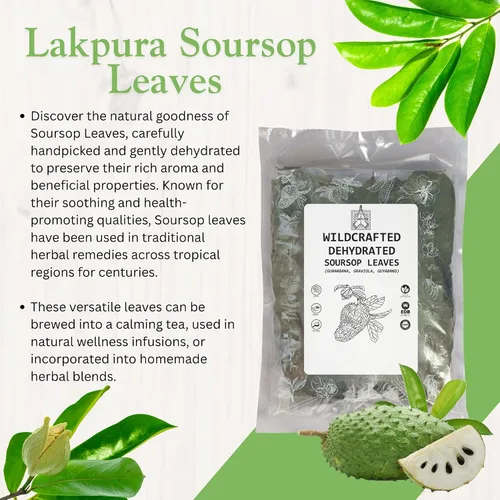 Vista 4 de Lakpura Guanábana silvestre (Guanabana, Graviola, Guyabano) Deshidratada 600 hojas