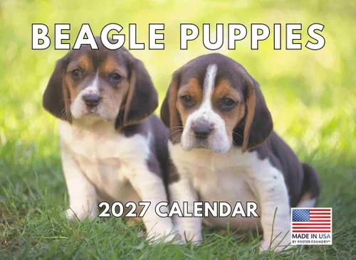 Vista 25 de Calendario mensual de pared Airedale Terrier Dog 2027