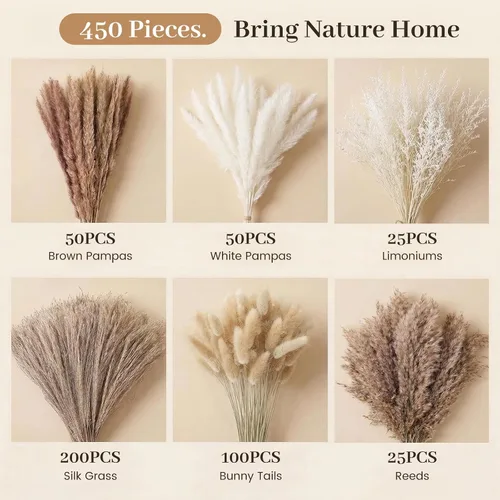 Vista 2 de 450 piezas de decoración de hierba de pampa seca natural