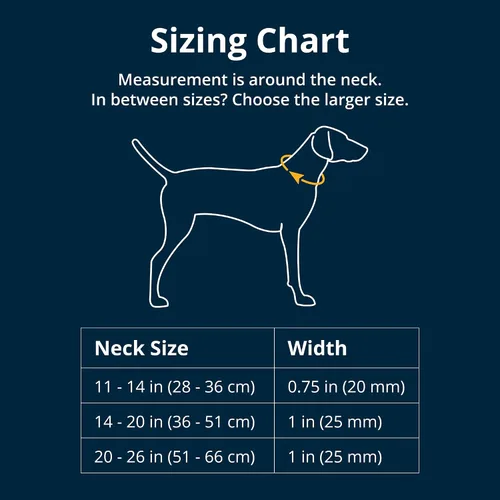 Vista 2 de Ruffwear, Collar de perro de reacción en cadena, collar reflectante ajustable a prueba de escapes con cadena de acero inoxidable, control de Gris