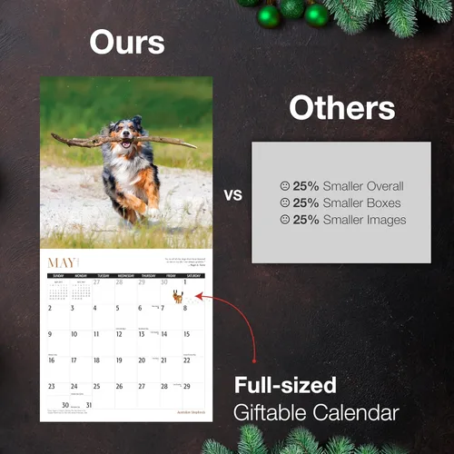 Vista 5 de MICASA PRESS Calendario de pared de Australian Shepherds Aussies 2027 02 - Pastores australianos