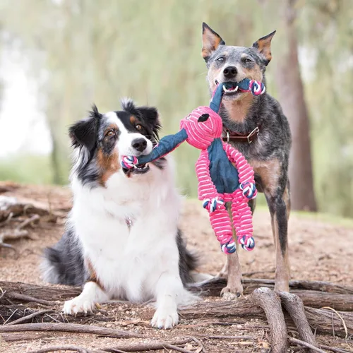 Vista 5 de KONG Floppy Knots - Juguete de cuerda anudada para perros que atrae el juego – Juguete de tirar que satisface los instintos naturales – Suministros