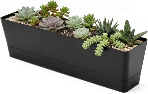 Vista 9 de GREANER Maceteros de hierbas de 12 x 3.8 pulgadas, 1 paquete de cajas rectangulares con bandeja, maceta de plástico para suculentas