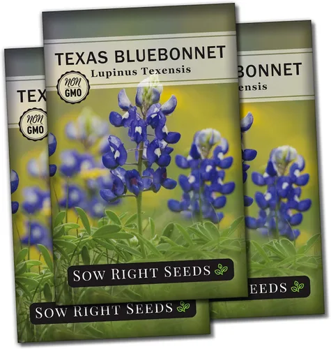 Vista 8 de Sow Right Seeds - Semilla de Bluebonnet de Texas para plantar jardín