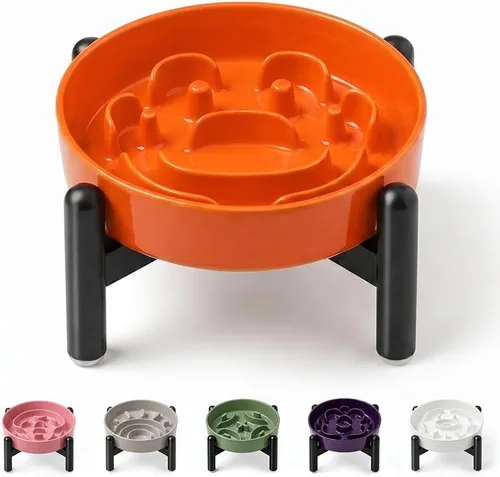 Vista 32 de Cuenco elevado para perros de alimentación lenta, 0.8 tazas de cerámica elevado con soporte inoxidable, cuenco elevado para perros de 6.3 pulgadas