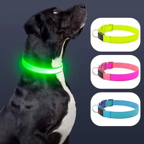 Vista 2 de Collar de perro con luz LED, recargable por USB, tamaño ajustable, correas de nailon TPU resistentes, collares básicos de seguridad para perros