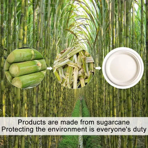 Vista 7 de Green Earth - Plato de papel de 9.0 in sin bagazo natural (fibra de caña de azúcar), biodegradable, compostable (500 platos desechables)